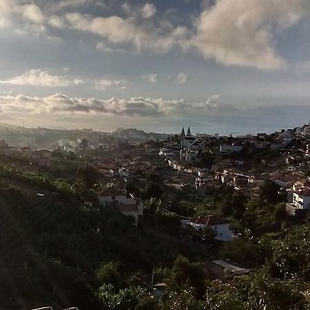 Vista Funchal Lejlighed Eksteriør billede